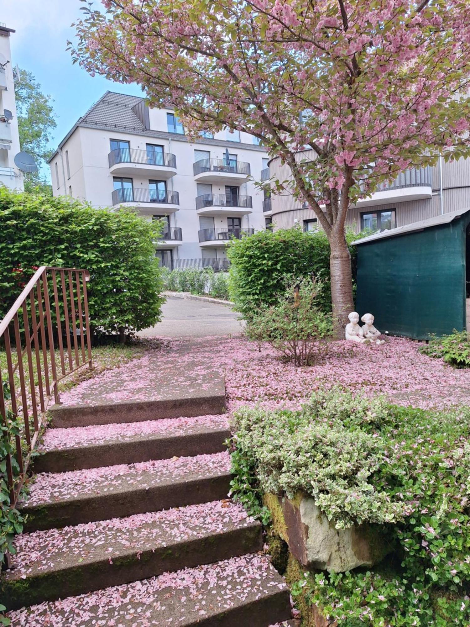 Haus Mila Daire Freudenstadt Dış mekan fotoğraf