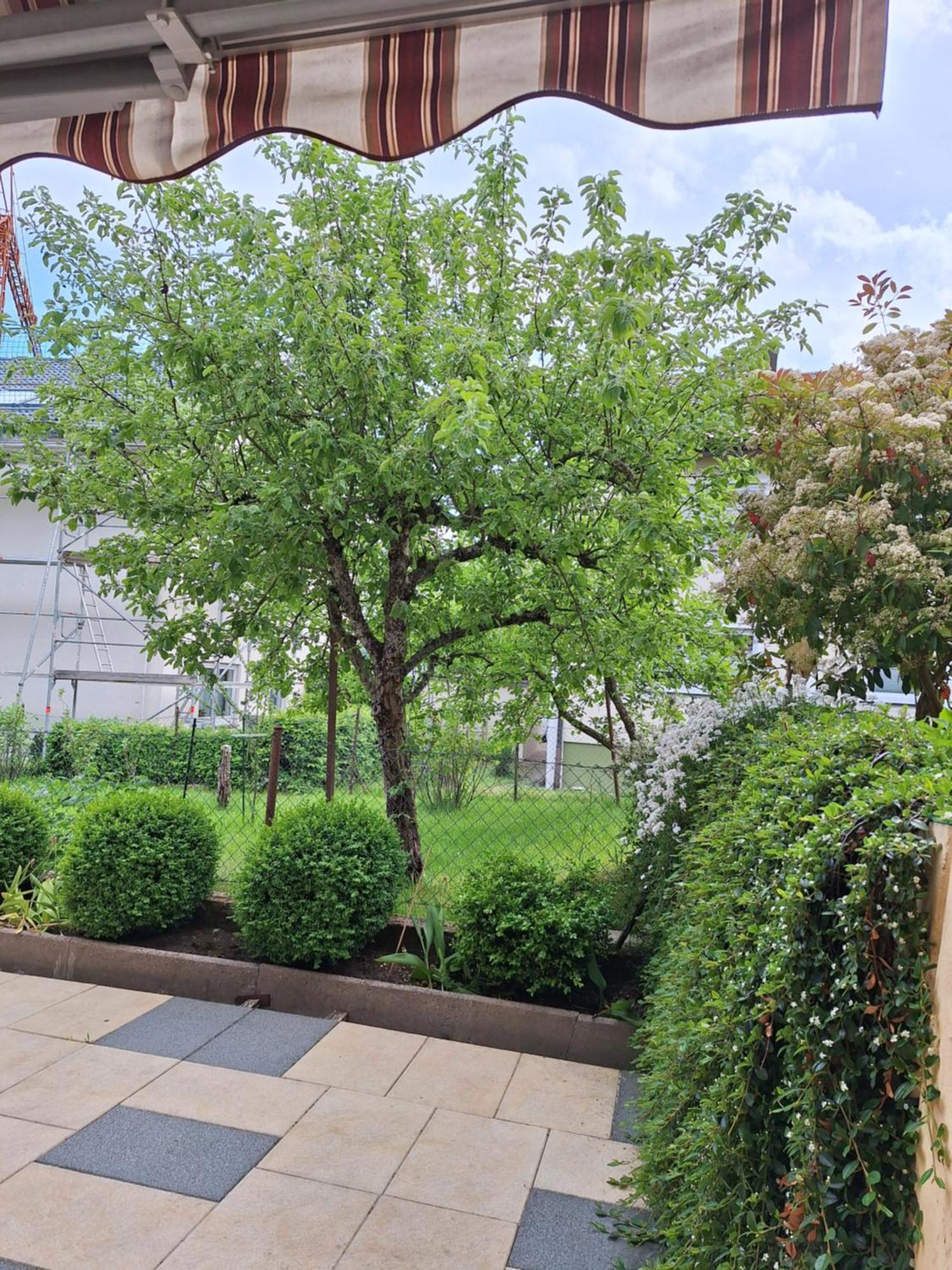 Haus Mila Daire Freudenstadt Dış mekan fotoğraf
